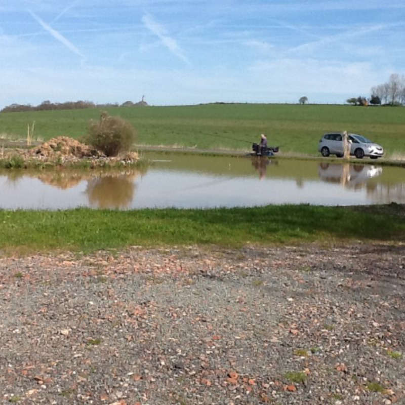 Fishery cudmore Staffordshire